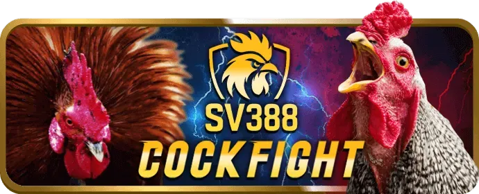 Câu lạc bộ VIP vmax bet với đặc quyền