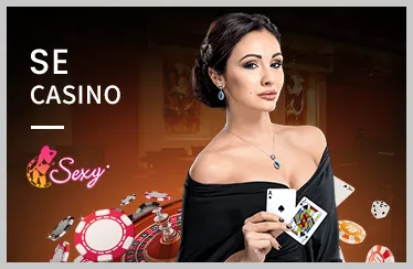 Hỗ trợ khách hàng 24/7 vmax bet